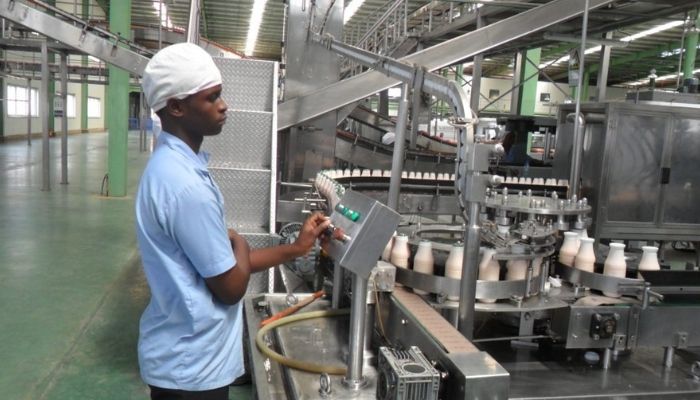 Viju-Industries-plant