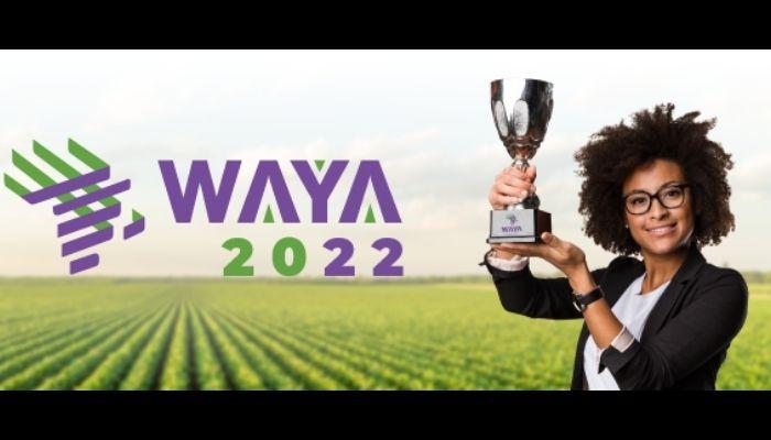 WAYA awards