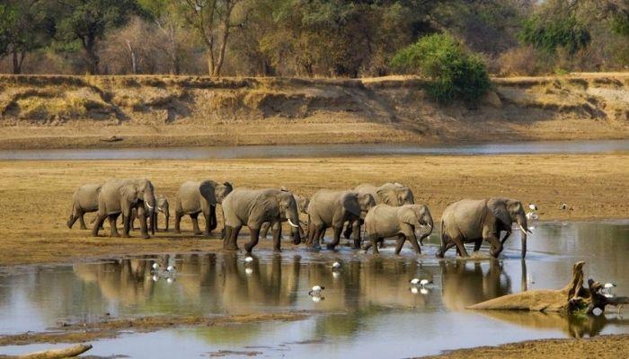 biodiversity-in-Africa