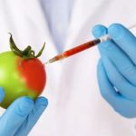 genetically-modified-food