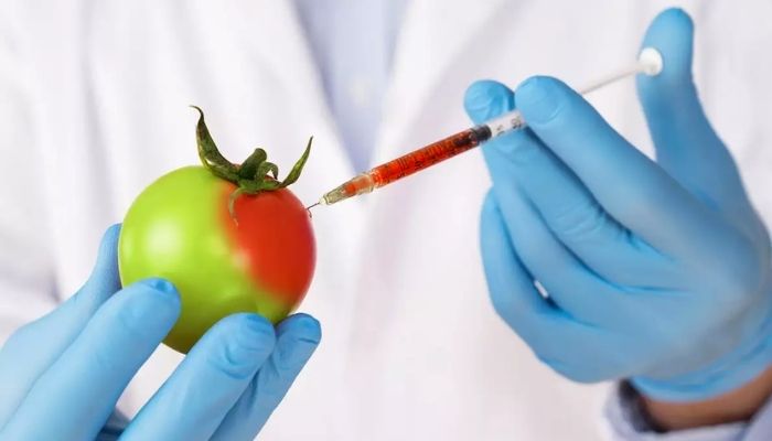 genetically-modified-food
