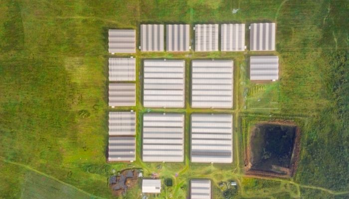 greenhouses