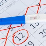 prime time for conception