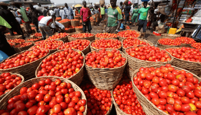 tomato prices