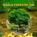 world-forests-day