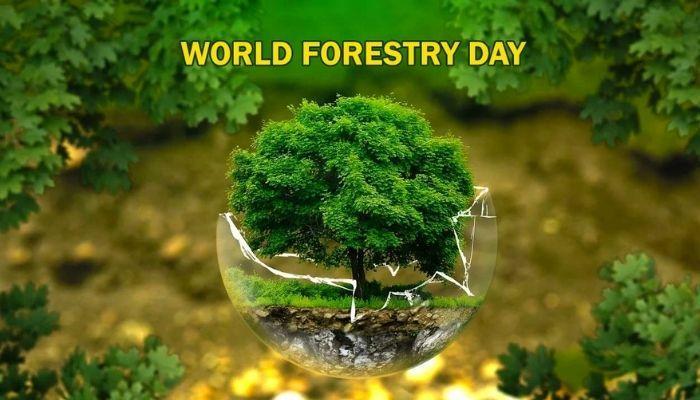 world-forests-day