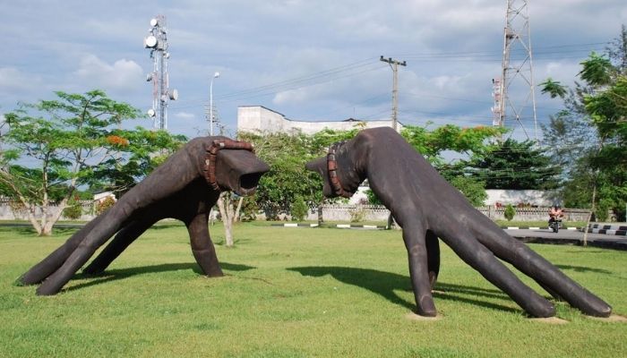 A garden in Calabar