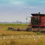 Agribusiness initiative