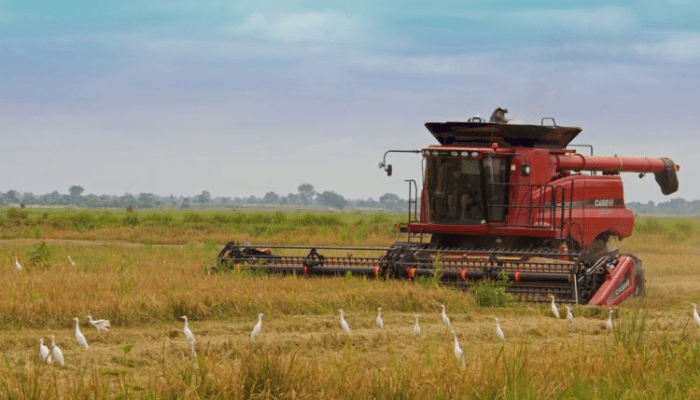 Agribusiness initiative