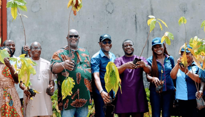 cocoa revolution in Bayelsa