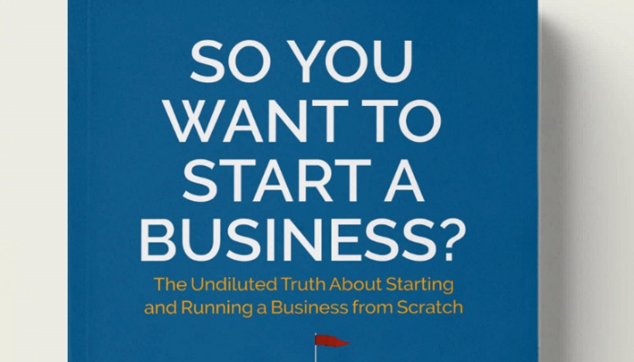 A review of Olisa Umerah’s So You Want to Start a Business?