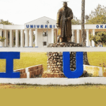 Igbinedion University