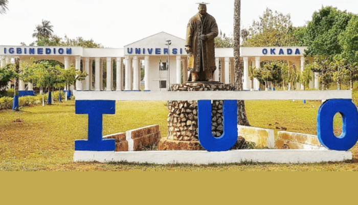Igbinedion University