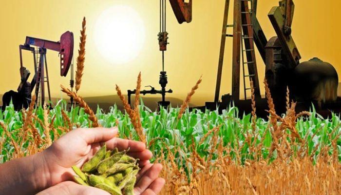 best-performing sectors