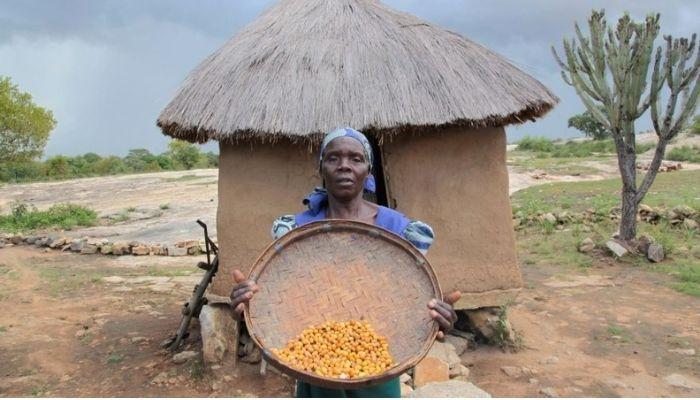 food poverty in africa