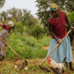Smallholder Women Farmers