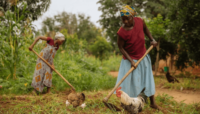 Smallholder Women Farmers