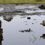 Oil pollution in the Niger Delta