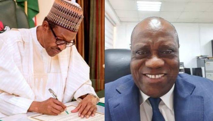 President Muhammadu Buhari and Adeyemi Adeniran