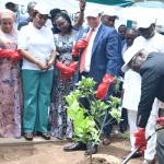 'Tree4Life' Initiative