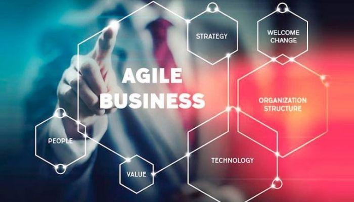 organisational strategy