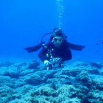 Nigerian diving regulations