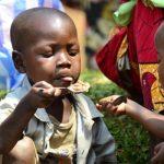 Food crisis in Nigeria