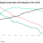oil palm production
