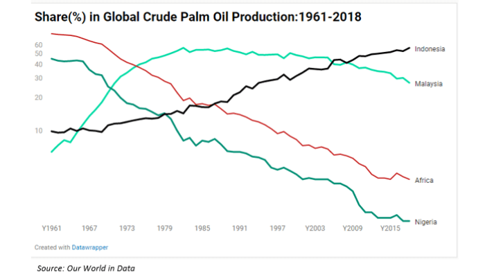 oil palm production