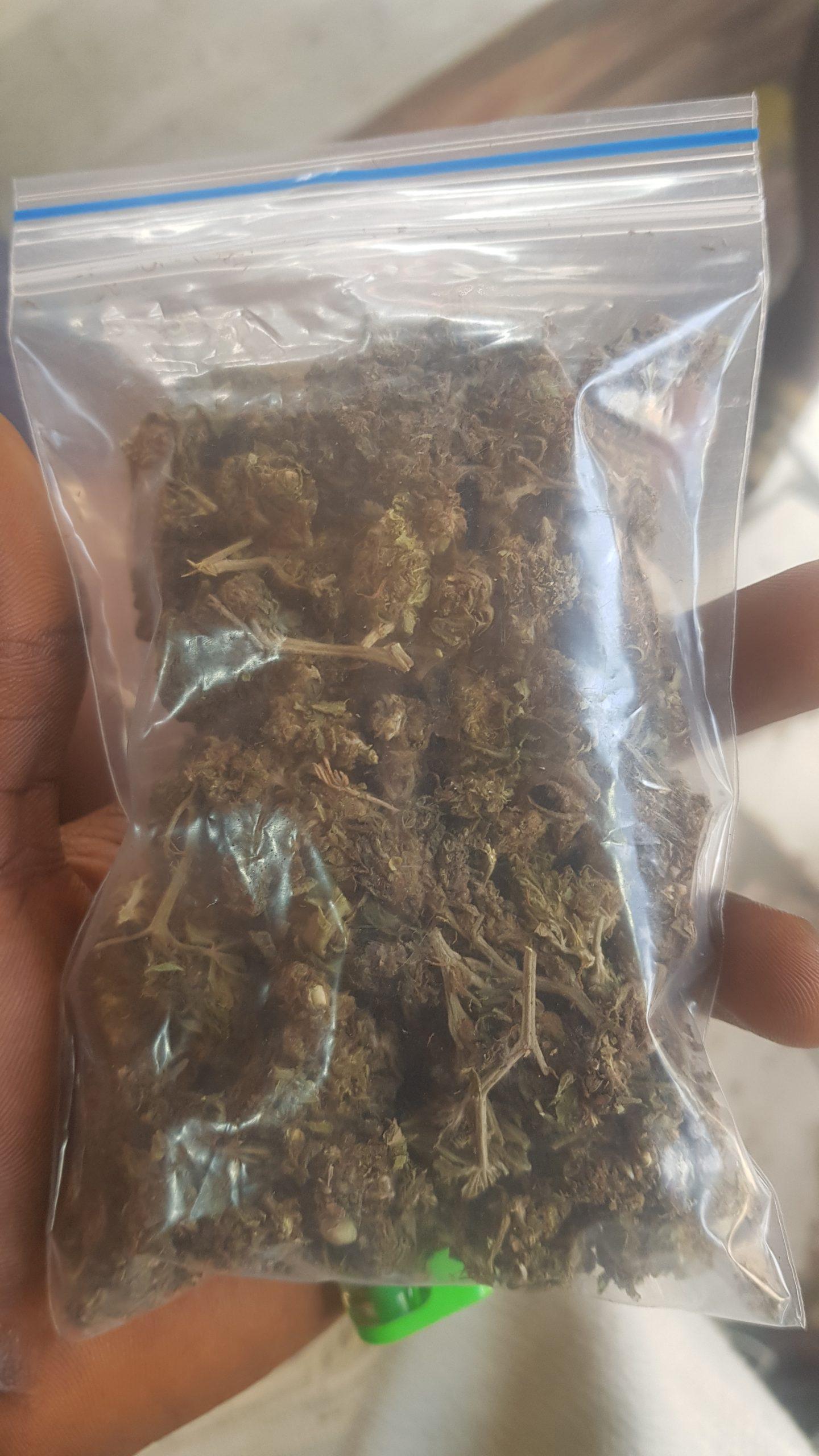 Weed, marijuana or ganja is one of the most abused drugs