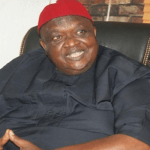 Elder Statesman, Emmanuel Iwuanyanwu