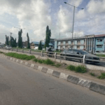 Funsho Williams Avenue