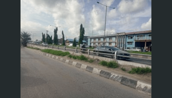 Funsho Williams Avenue