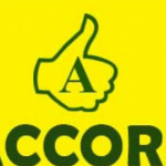Accord Party