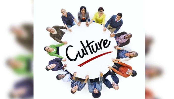 organisational culture