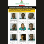 Boko Haram terrorists