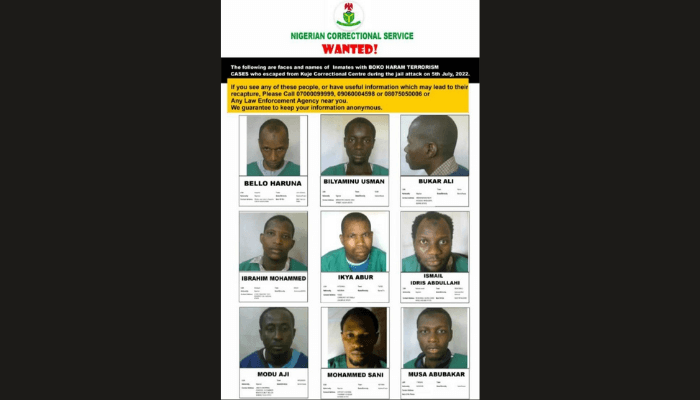 Boko Haram terrorists