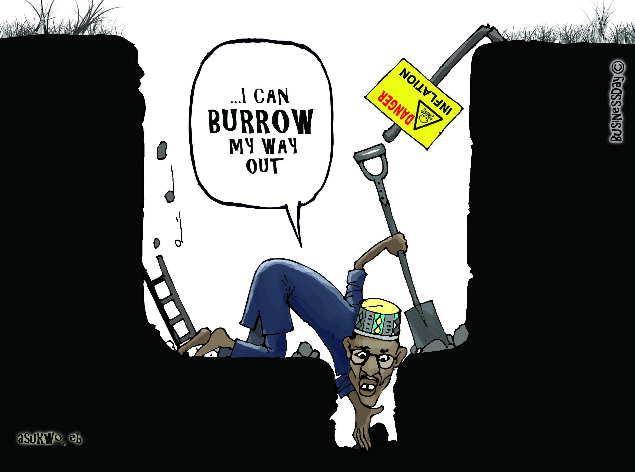 Nigeria borrows
