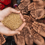 Global hunger declines as 307m people suffer in Africa - UN Report
