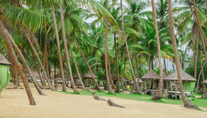 La Campagne tropicana