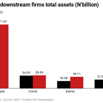 Nigeria’s downstream firms