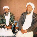 Ayman al-Zawahri and, Osama bin Laden