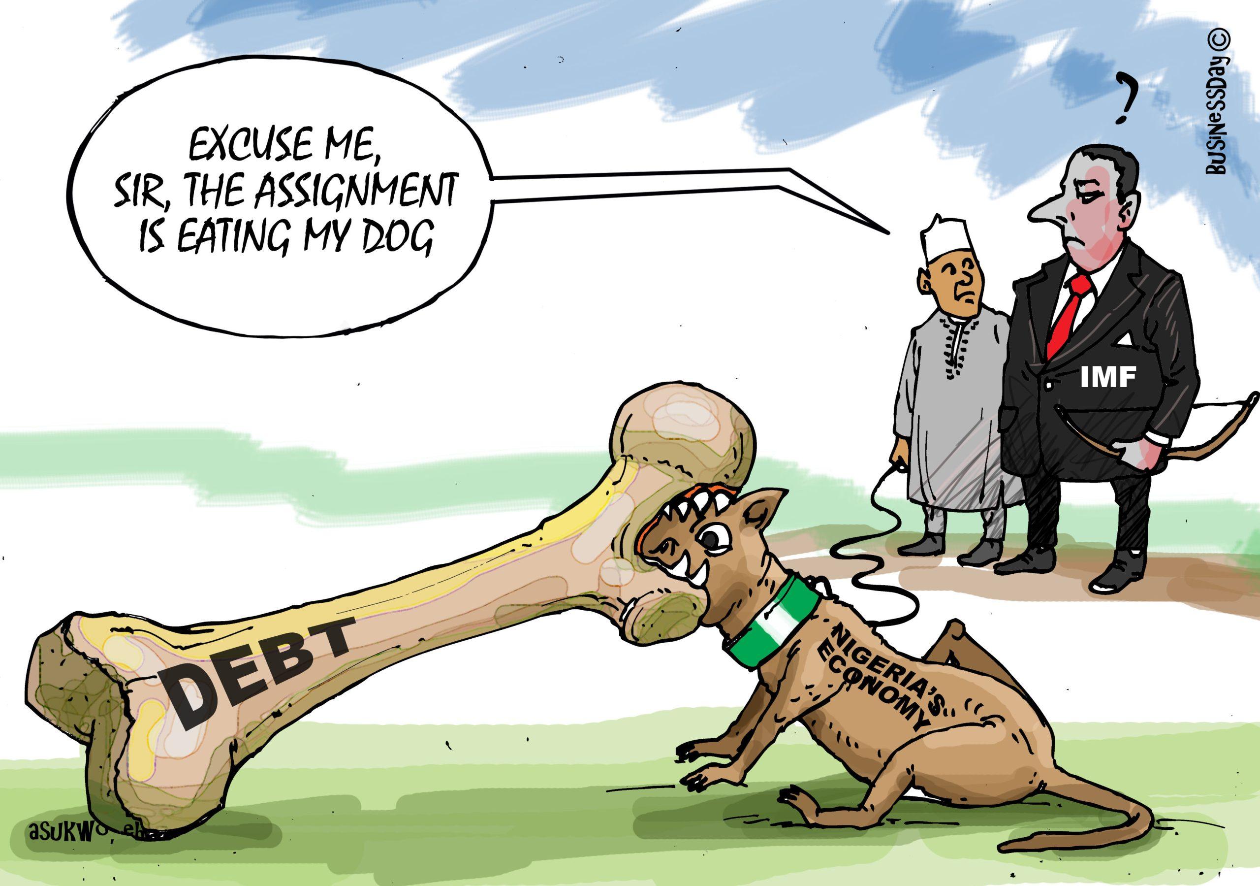 The Assignment Finally Ate The Dog