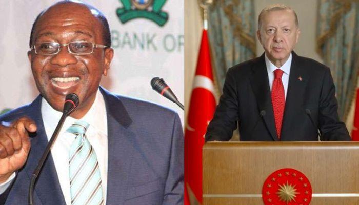 Godwin Emefiele & Tayyip Erdogan