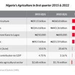 Nigeria's agriculture in first quarter