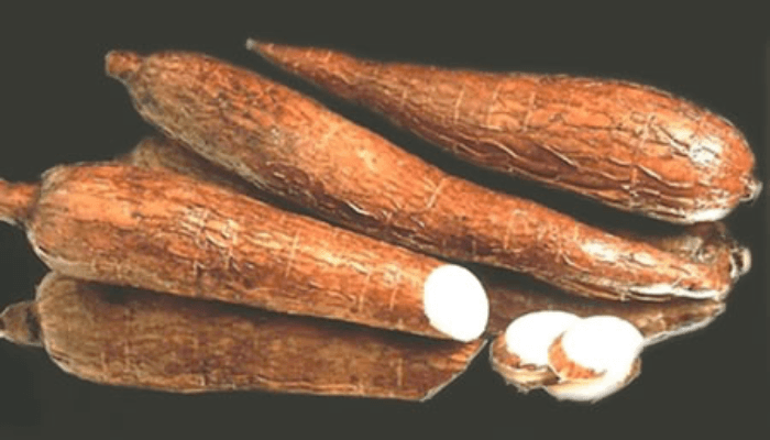 cassava