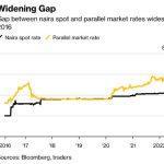 Gap between naira spot rate and parallel market rates