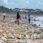 plastics waste in the oceans