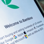 Bamboo Investment