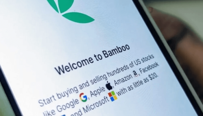 Bamboo Investment